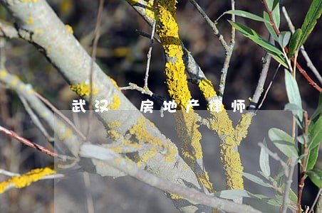武汉 房地产律师 武汉 房地产律师
